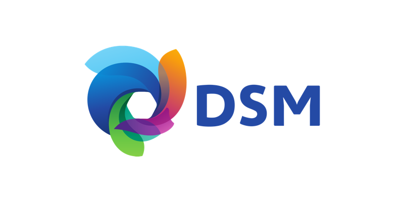 dsm logo