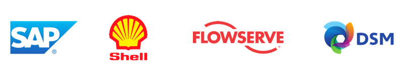 sap, shell, flowserve, dsm logos